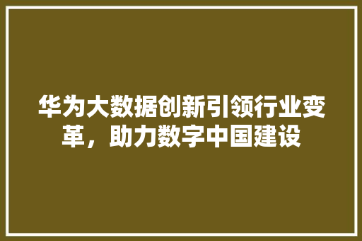 华为大数据创新引领行业变革，助力数字中国建设  第1张