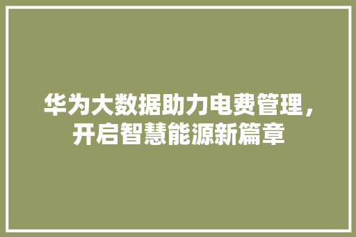 华为大数据助力电费管理，开启智慧能源新篇章  第1张