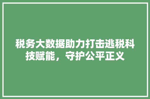 税务大数据助力打击逃税科技赋能，守护公平正义