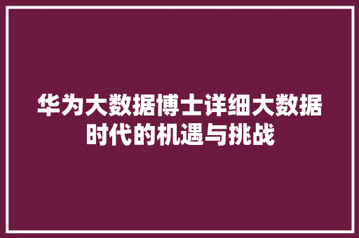 华为大数据博士详细大数据时代的机遇与挑战