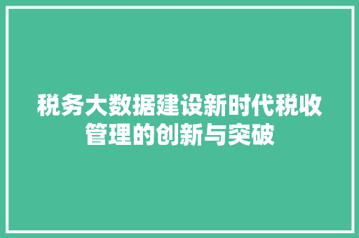 税务大数据建设新时代税收管理的创新与突破  第1张
