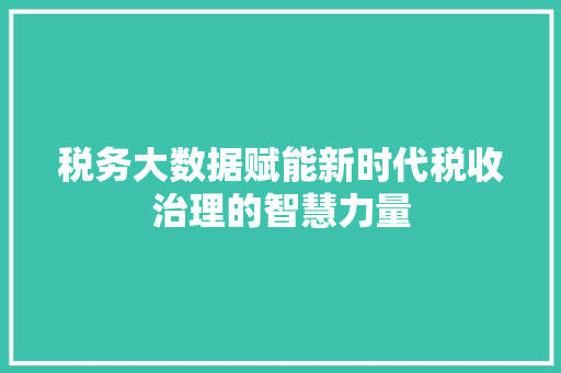 税务大数据赋能新时代税收治理的智慧力量