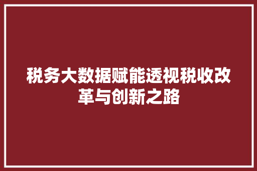税务大数据赋能透视税收改革与创新之路  第1张