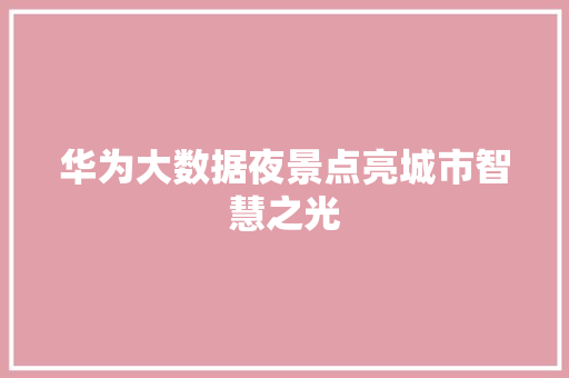 华为大数据夜景点亮城市智慧之光
