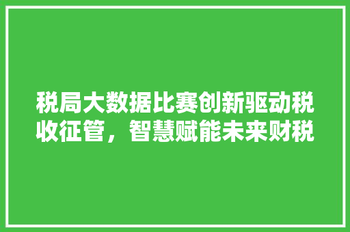 税局大数据比赛创新驱动税收征管，智慧赋能未来财税
