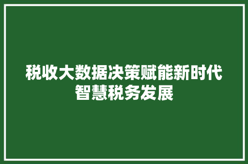税收大数据决策赋能新时代智慧税务发展  第1张
