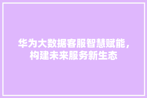 华为大数据客服智慧赋能，构建未来服务新生态  第1张
