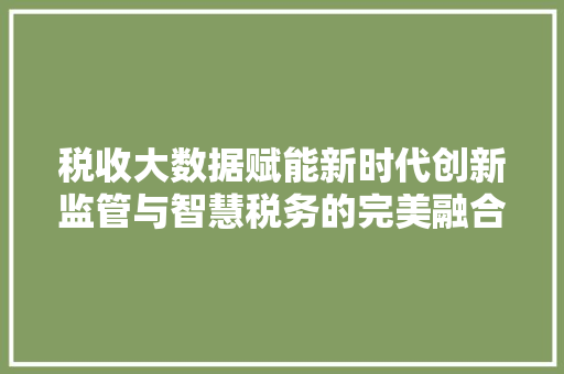 税收大数据赋能新时代创新监管与智慧税务的完美融合