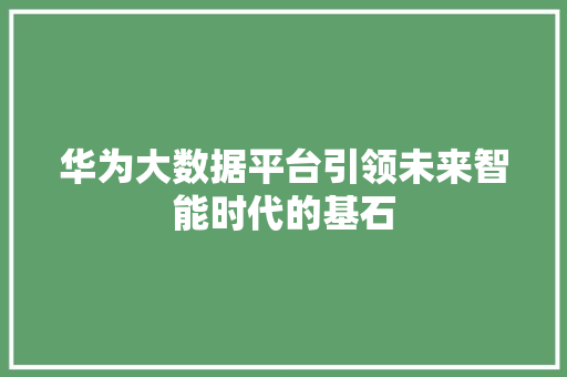 华为大数据平台引领未来智能时代的基石  第1张