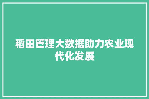稻田管理大数据助力农业现代化发展  第1张
