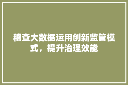 稽查大数据运用创新监管模式，提升治理效能  第1张