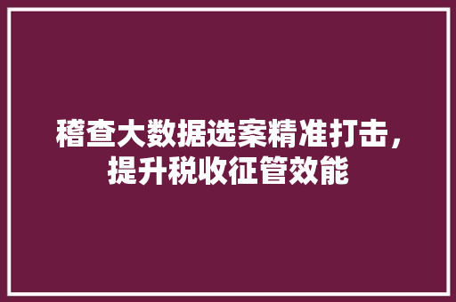 稽查大数据选案精准打击，提升税收征管效能