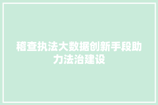 稽查执法大数据创新手段助力法治建设