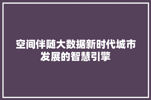 空间伴随大数据新时代城市发展的智慧引擎  第1张