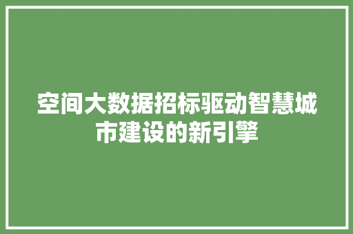 空间大数据招标驱动智慧城市建设的新引擎