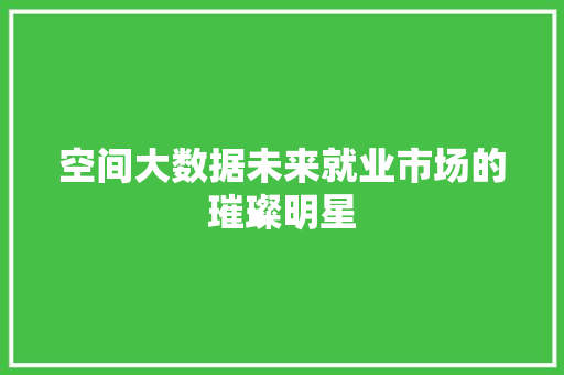 空间大数据未来就业市场的璀璨明星