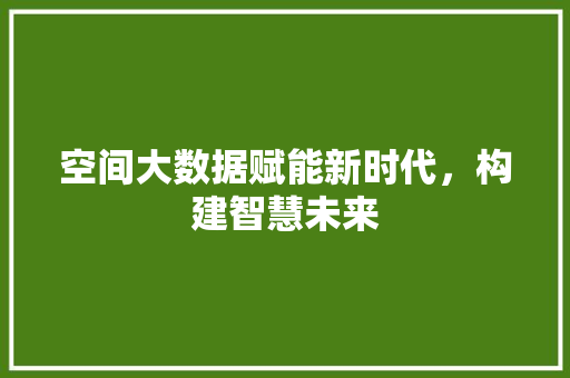 空间大数据赋能新时代，构建智慧未来