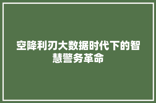空降利刃大数据时代下的智慧警务革命