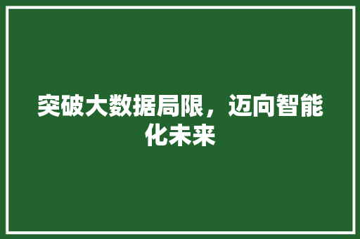 突破大数据局限，迈向智能化未来