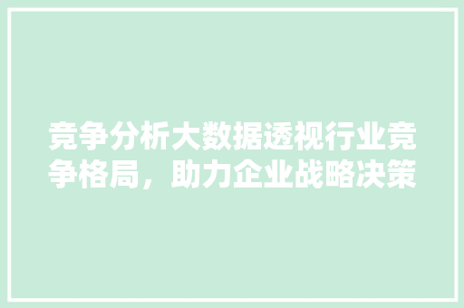 竞争分析大数据透视行业竞争格局，助力企业战略决策