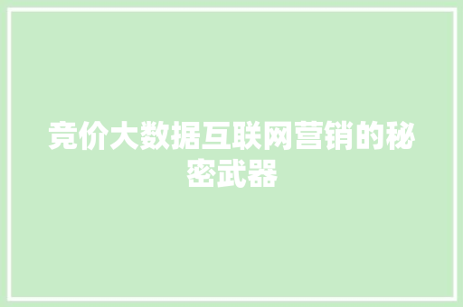竞价大数据互联网营销的秘密武器
