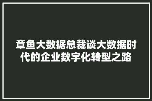 章鱼大数据总裁谈大数据时代的企业数字化转型之路
