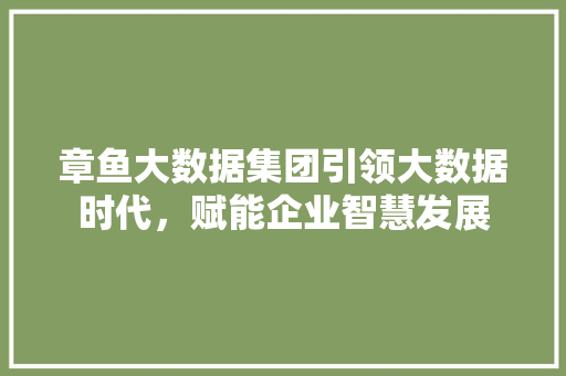 章鱼大数据集团引领大数据时代，赋能企业智慧发展  第1张