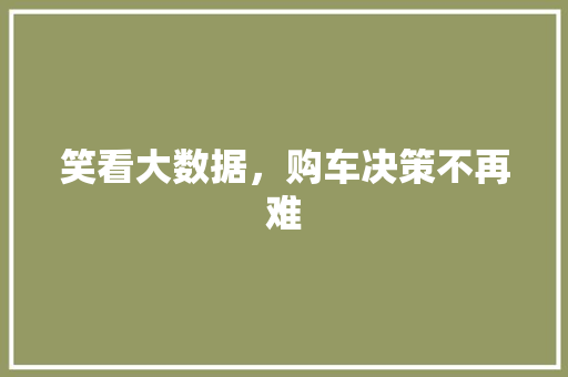 笑看大数据，购车决策不再难