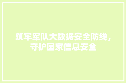 筑牢军队大数据安全防线，守护国家信息安全