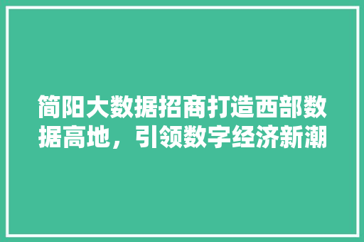 简阳大数据招商打造西部数据高地，引领数字经济新潮流