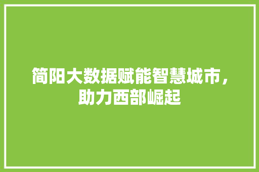 简阳大数据赋能智慧城市，助力西部崛起