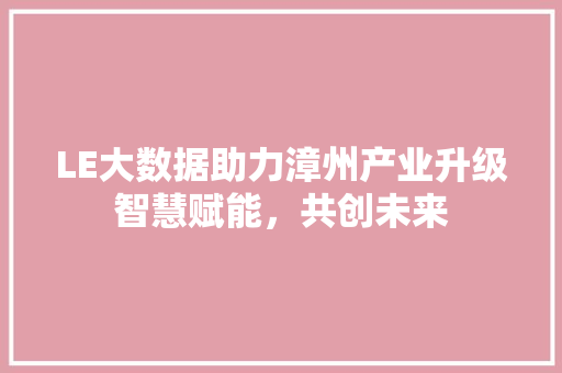 LE大数据助力漳州产业升级智慧赋能，共创未来