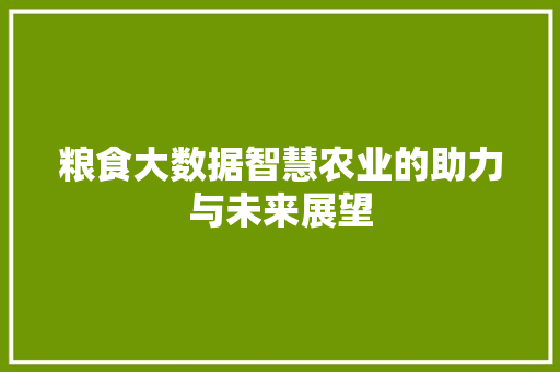 粮食大数据智慧农业的助力与未来展望
