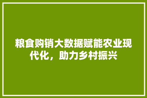 粮食购销大数据赋能农业现代化，助力乡村振兴