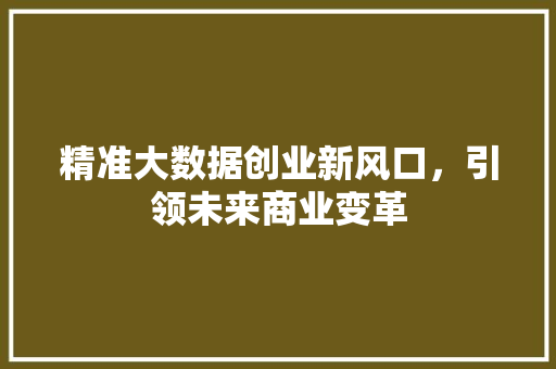 精准大数据创业新风口，引领未来商业变革  第1张