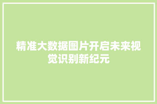 精准大数据图片开启未来视觉识别新纪元  第1张