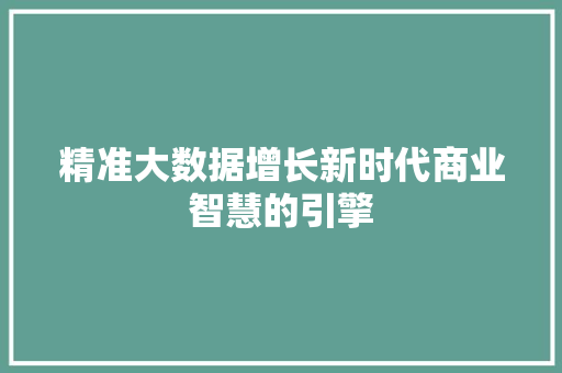 精准大数据增长新时代商业智慧的引擎  第1张