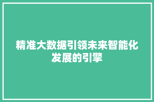 精准大数据引领未来智能化发展的引擎  第1张