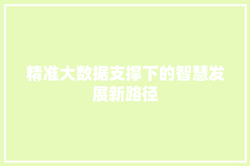 精准大数据支撑下的智慧发展新路径  第1张