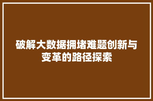 破解大数据拥堵难题创新与变革的路径探索