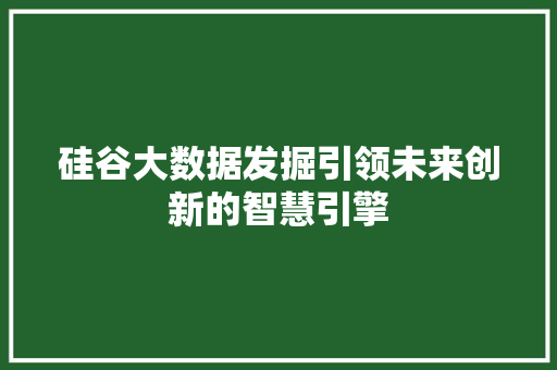 硅谷大数据发掘引领未来创新的智慧引擎