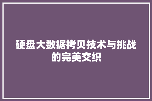硬盘大数据拷贝技术与挑战的完美交织