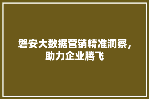 磐安大数据营销精准洞察，助力企业腾飞