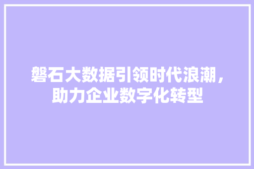 磐石大数据引领时代浪潮，助力企业数字化转型
