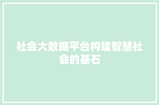 社会大数据平台构建智慧社会的基石