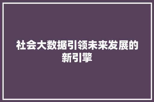 社会大数据引领未来发展的新引擎