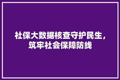 社保大数据核查守护民生，筑牢社会保障防线