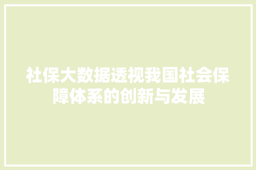 社保大数据透视我国社会保障体系的创新与发展