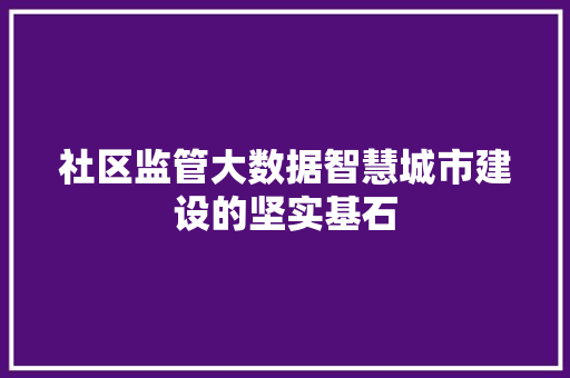 社区监管大数据智慧城市建设的坚实基石