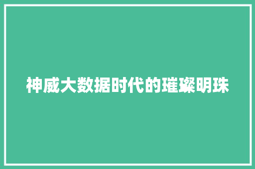 神威大数据时代的璀璨明珠  第1张